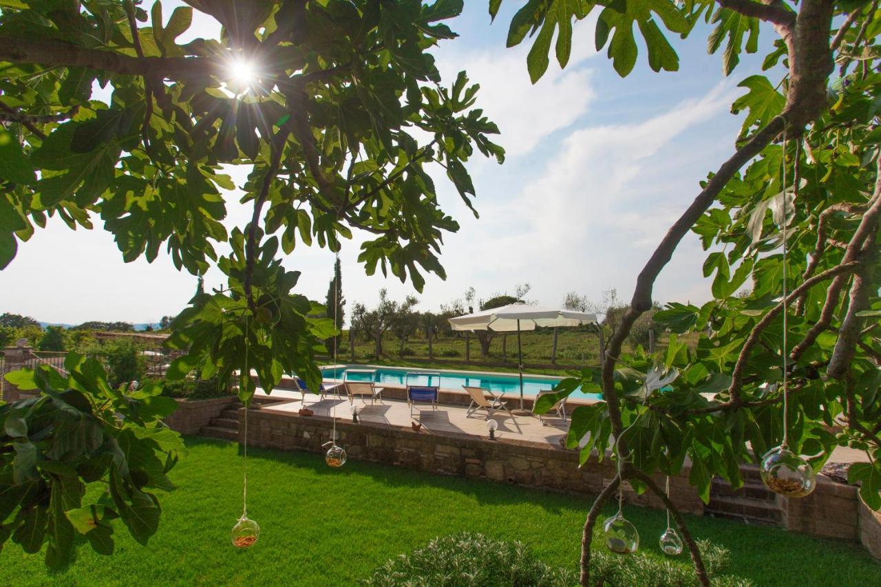 Bed and Breakfast Ficolivo Pitigliano Exterior foto