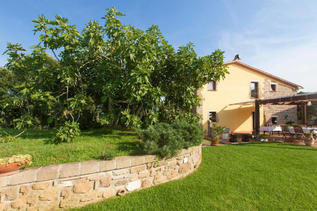 Bed and Breakfast Ficolivo Pitigliano Exterior foto